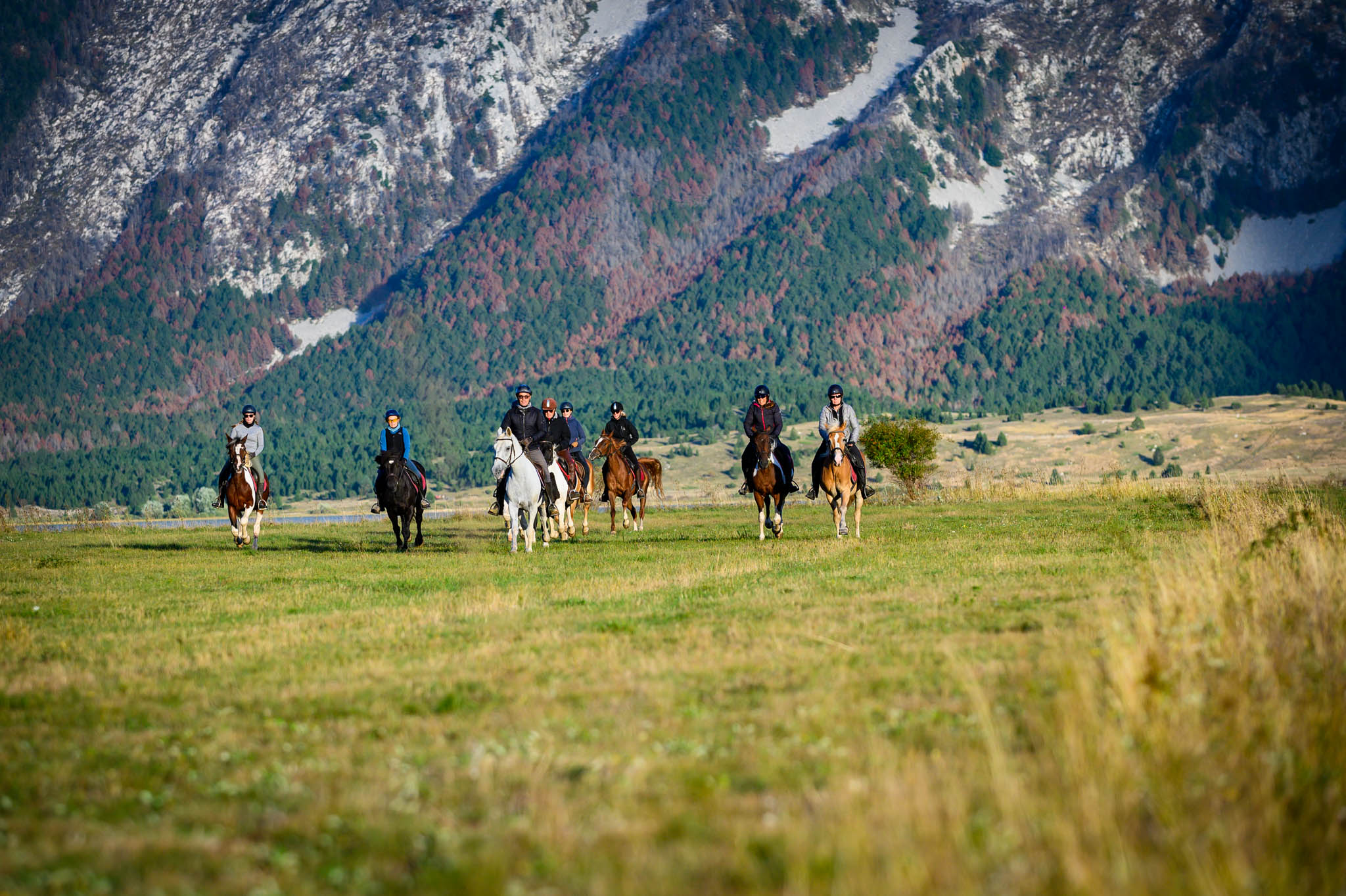 Rid- och vinupplevelse i Hercegovina